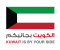 الكويت إلى جانبكم