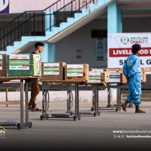 Taiz | Economic Empowerment Projects Making a Real Difference